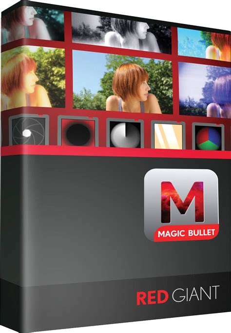 Magic Bullet Looks cracked download